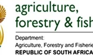 Rock Lobster Season Shortened